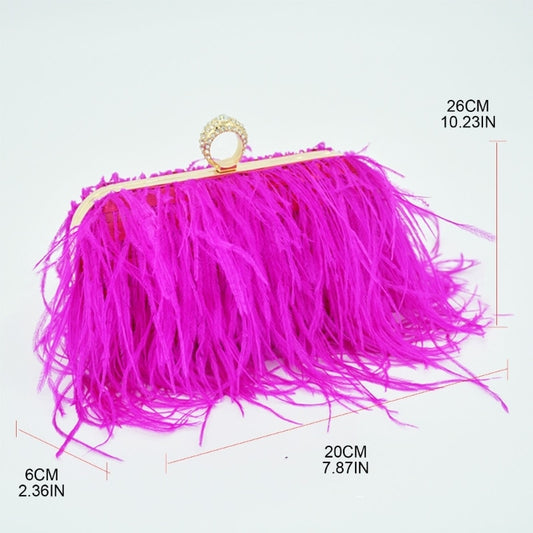 Bolsa Clutch Plumas